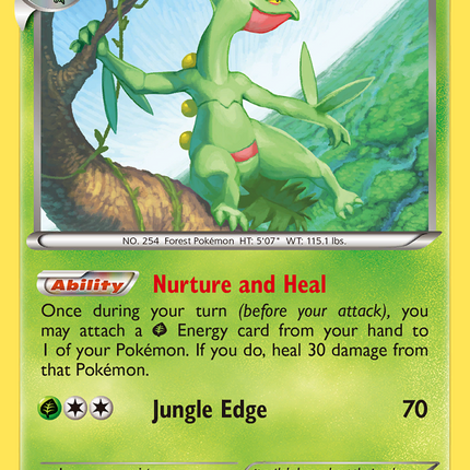 Sceptile (8/160) [XY: Primal Clash]