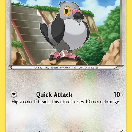 Pidove (84/114) [Black & White: Base Set]