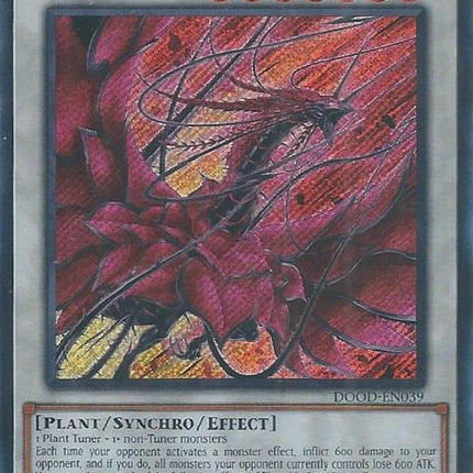 Bramble Rose Dragon [DOOD-EN039] Secret Rare