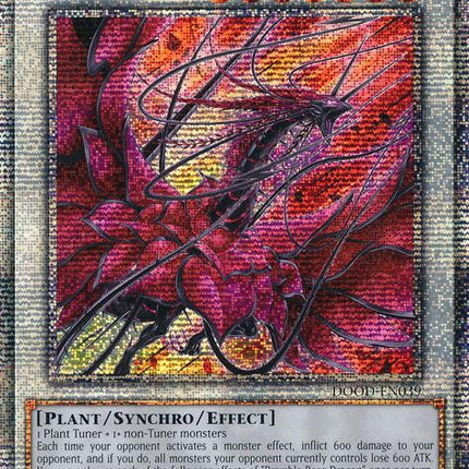 Bramble Rose Dragon (Starlight Rare) [DOOD-EN039] Starlight Rare