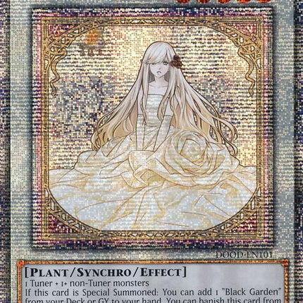 Garden Rose Maiden [DOOD-EN101] Starlight Rare