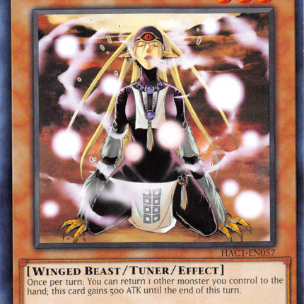 Mist Valley Shaman [HAC1-EN057] Common