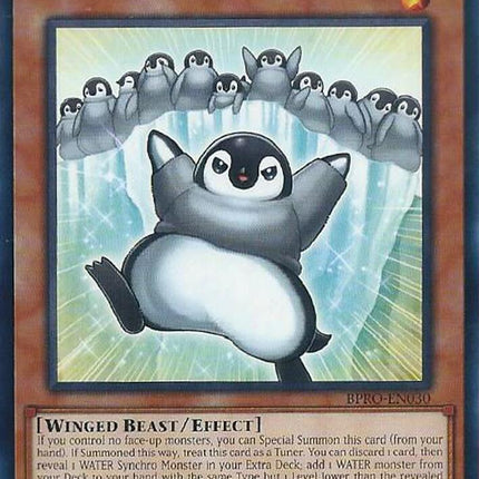 First Penguin [BPRO-EN030] Common