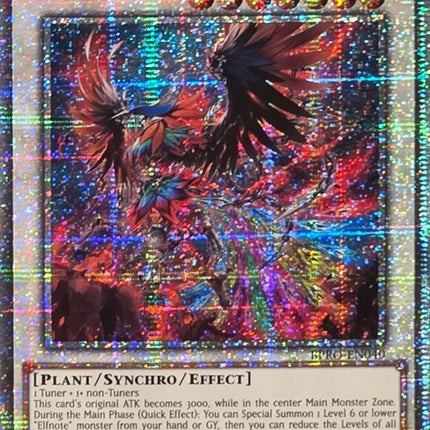 Elfnote Seraphim Strelitzia (Starlight Rare) [BPRO-EN040] Starlight Rare