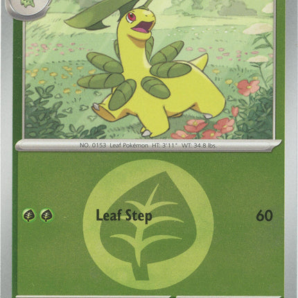 Bayleef (009/217) (Energy Symbol Pattern) [Mega Evolution: Ascended Heroes]