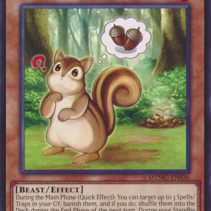 Sloppy Stasher Squirrel [MZMU-EN036] Rare