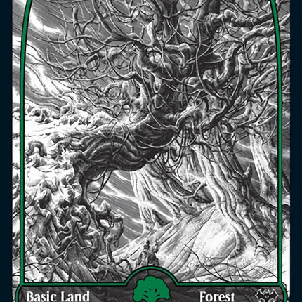 Forest (276) [Innistrad: Crimson Vow]
