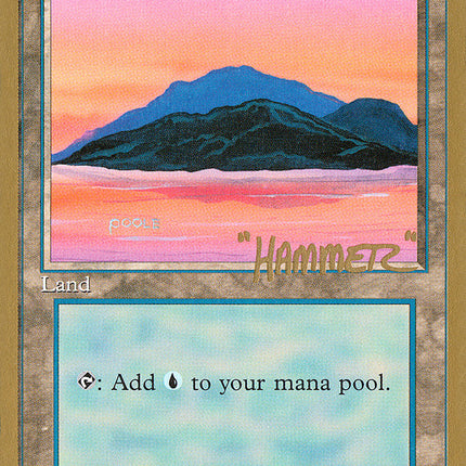 Island (shr369) (Shawn "Hammer" Regnier) [Pro Tour Collector Set]