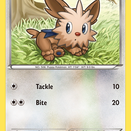 Lillipup (108/146) [XY: Base Set]