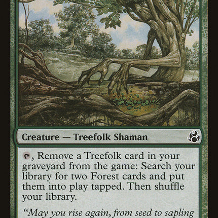 Everbark Shaman [Morningtide]