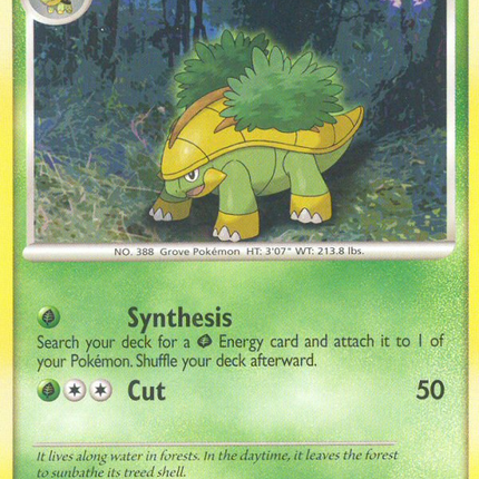 Grotle (49/130) [Diamond & Pearl: Base Set]