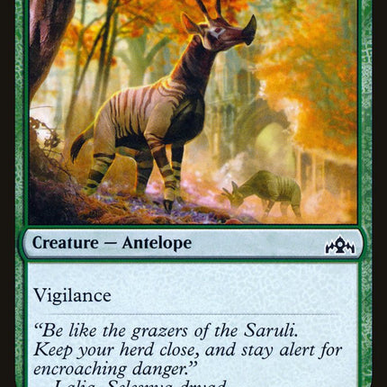 Wary Okapi [Guilds of Ravnica]