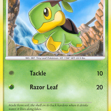 Turtwig (17/17) [POP Series 8]