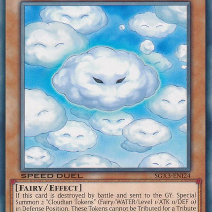 Cloudian - Sheep Cloud [SGX3-ENI24] Common