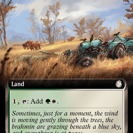 Sungrass Prairie (Extended Art) [Fallout]