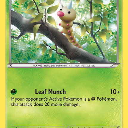 Weedle (3/146) [XY: Base Set]
