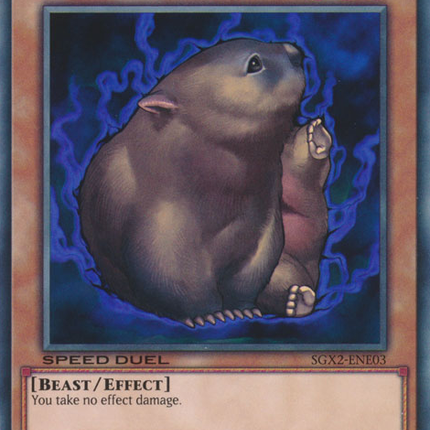 Des Wombat [SGX2-ENE03] Common