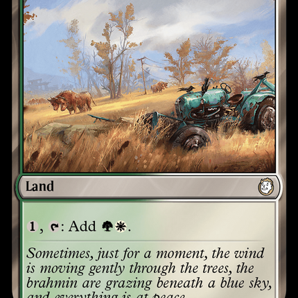 Sungrass Prairie (Surge Foil) [Fallout]