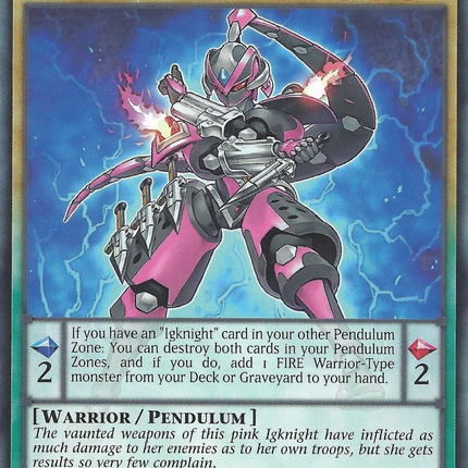Igknight Cavalier [DOCS-EN030] Common