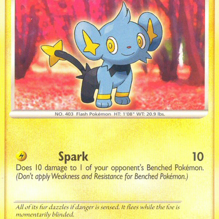 Shinx (98/130) [Diamond & Pearl: Base Set]