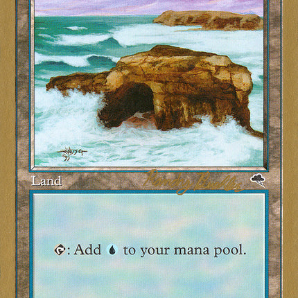 Island (rb336) (Randy Buehler) [World Championship Decks 1998]