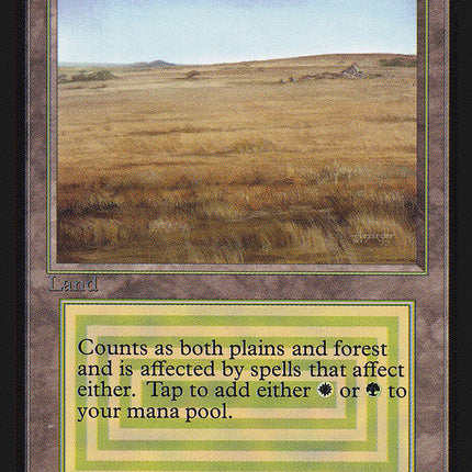 Savannah [Collectors' Edition]