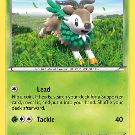 Skiddo (18/146) [XY: Base Set]