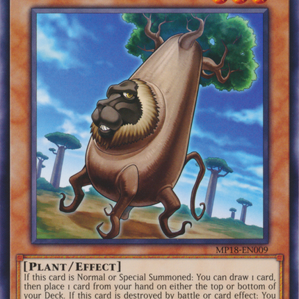 Baobaboon [MP18-EN009] Common