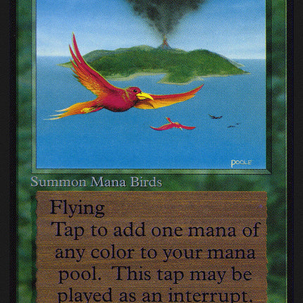 Birds of Paradise [International Collectors' Edition]