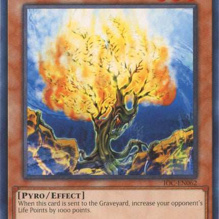 Burning Algae (25th Anniversary) [IOC-EN062] Common