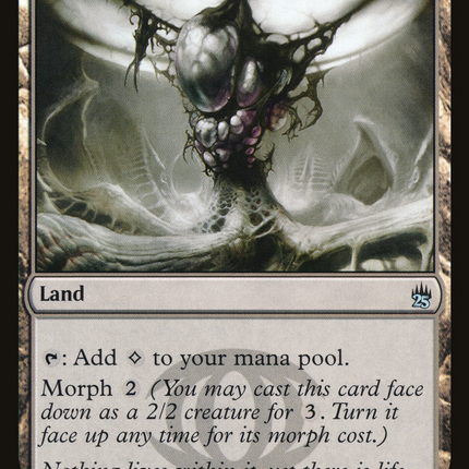 Zoetic Cavern [The List]