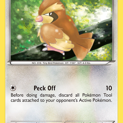 Pidgey (75/106) [XY: Flashfire]