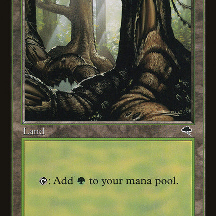Forest (Large Roots) [Tempest]