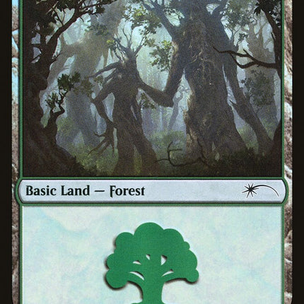 Forest (Tree Hugging) (572) [Secret Lair Drop Promos]