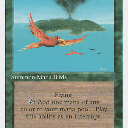 Birds of Paradise [Fourth Edition]