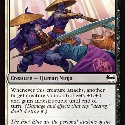 Foot Elite [Teenage Mutant Ninja Turtles]