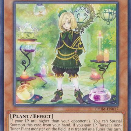 Aromage Laurel [CHIM-EN017] Common