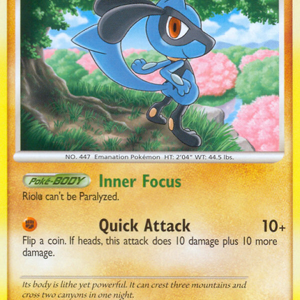 Riolu (16/17) [POP Series 8]