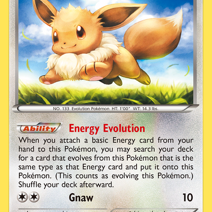 Eevee (80/111) [XY: Furious Fists]