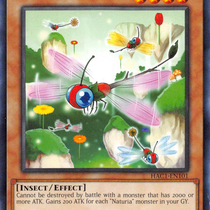 Naturia Dragonfly (Duel Terminal) [HAC1-EN101] Parallel Rare