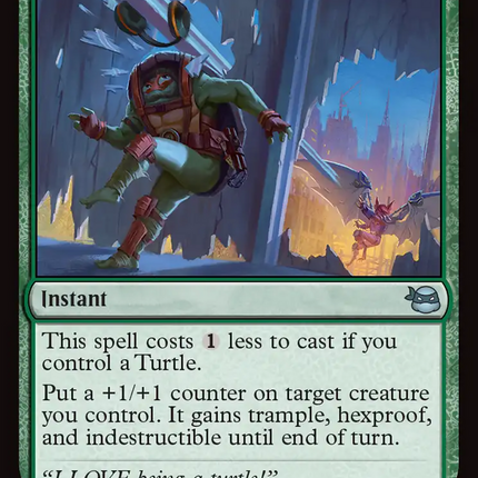 Saved by the Shell [Teenage Mutant Ninja Turtles]