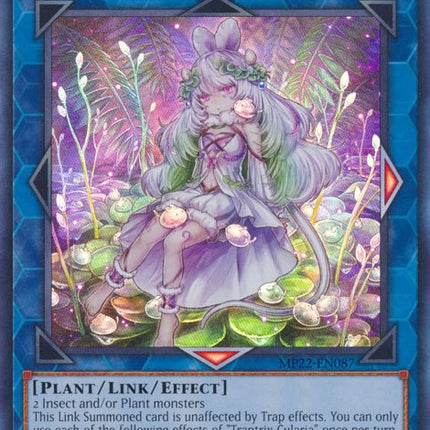 Traptrix Cularia [MP22-EN087] Super Rare