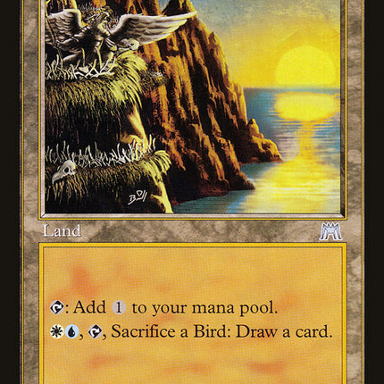 Seaside Haven [Onslaught]