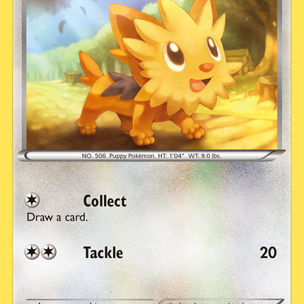 Lillipup (81/114) [Black & White: Base Set]