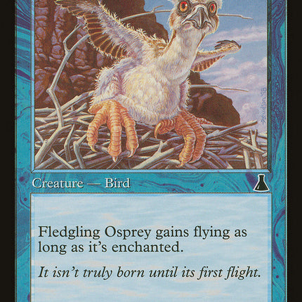 Fledgling Osprey [Urza's Destiny]