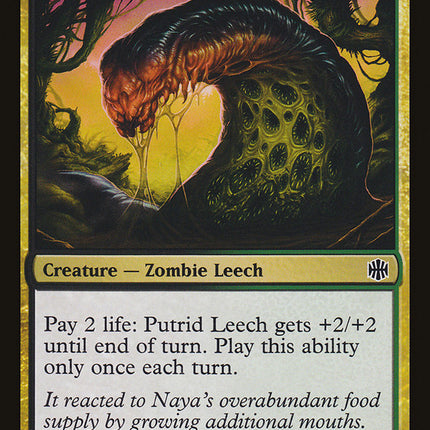 Putrid Leech [Alara Reborn]