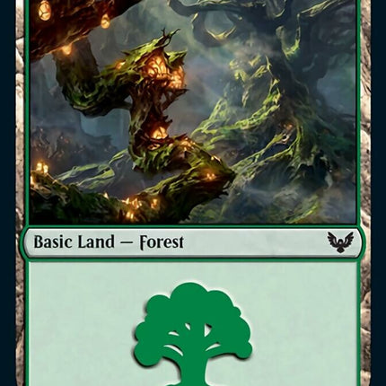 Forest (375) [Strixhaven: School of Mages]