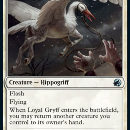 Loyal Gryff [Innistrad: Midnight Hunt]