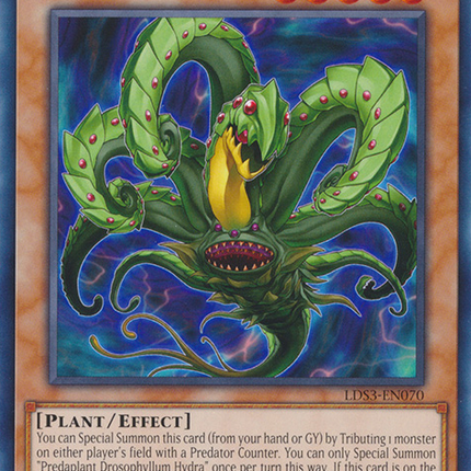 Predaplant Drosophyllum Hydra [LDS3-EN070] Common