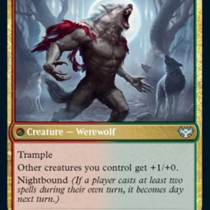 Child of the Pack // Savage Packmate [Innistrad: Crimson Vow]